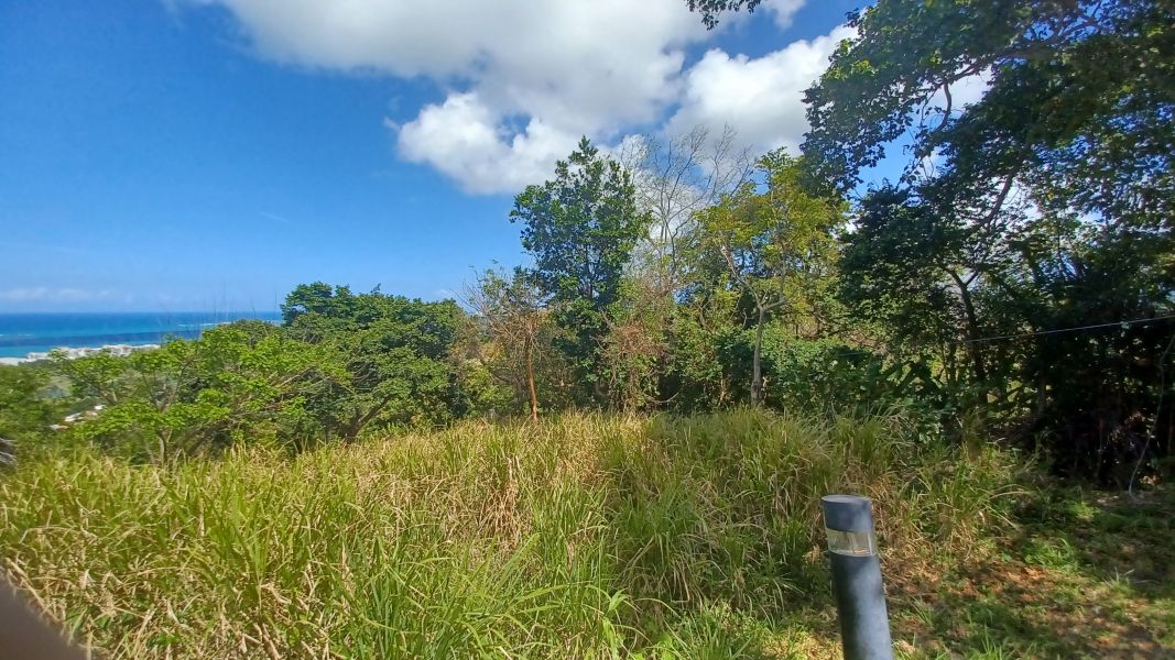 Urb Las Coles Carr 968 Km 1.5 Lot 1 Rio Grande 00721 PR