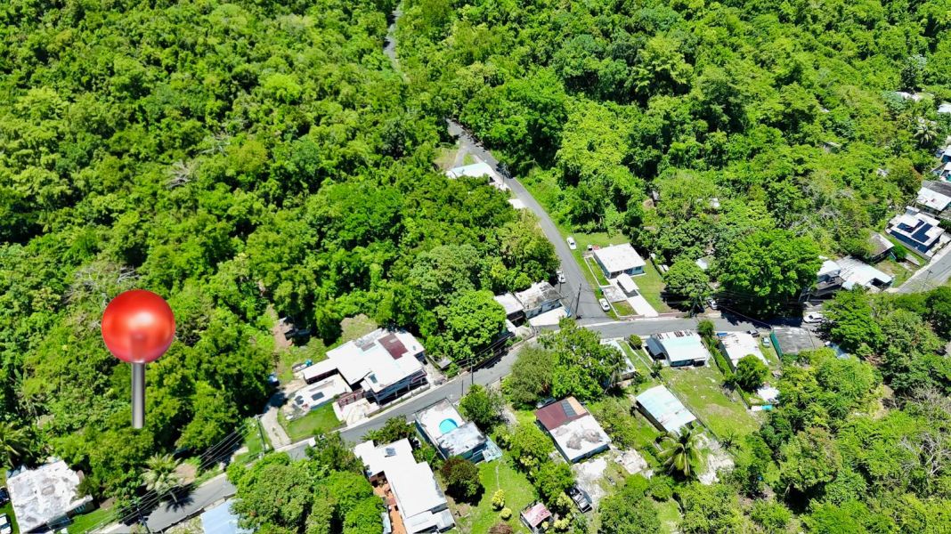 Bo Manati Abajo Sector Angostura Lote 4 Barceloneta 00617 PR