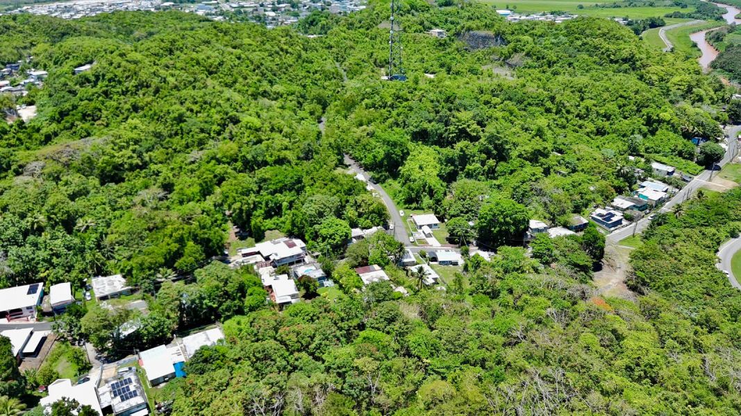 Bo Manati Abajo Sector Angostura Lote 4 Barceloneta 00617 PR