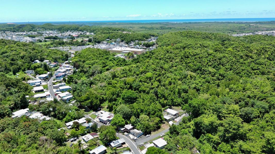 Bo Manati Abajo Sector Angostura Lote 4 Barceloneta 00617 PR