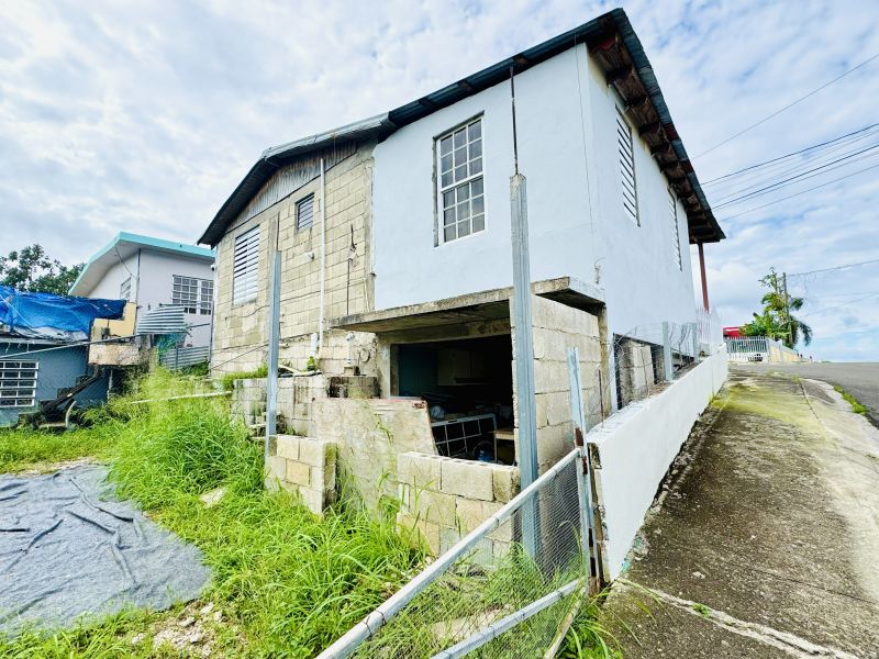 Bo Cuyon Carr 704 Km 0.1 Parcelas Viejas #169 Coamo 00769 PR