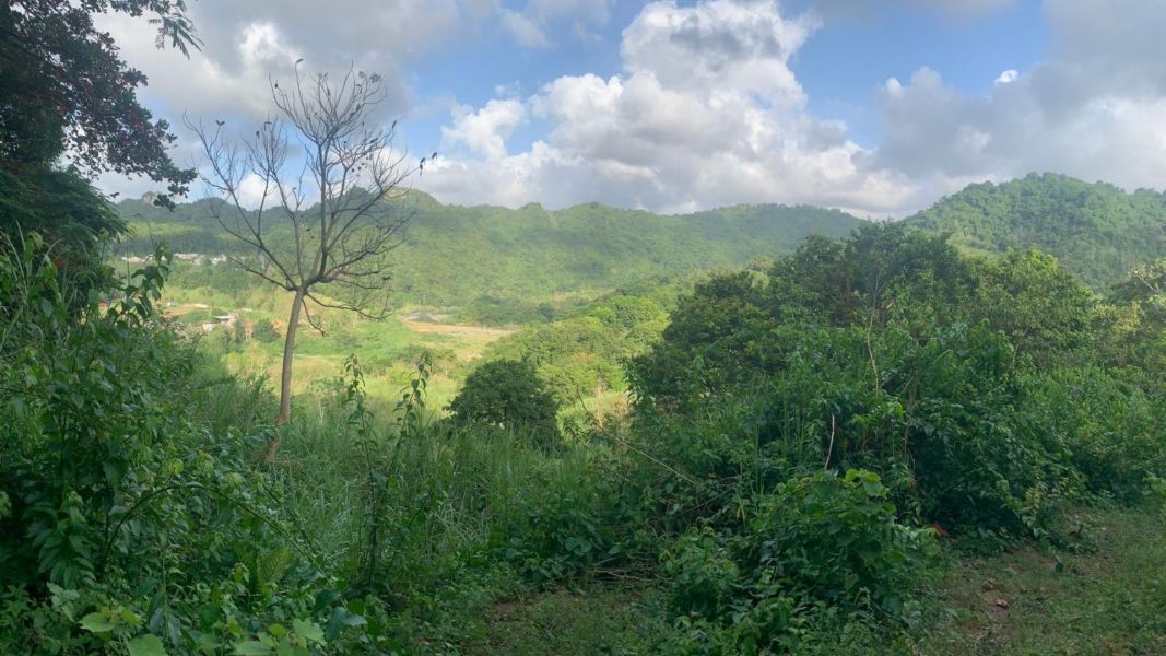 Km 14.5 Bo Jaguas Ciales 00638 PR