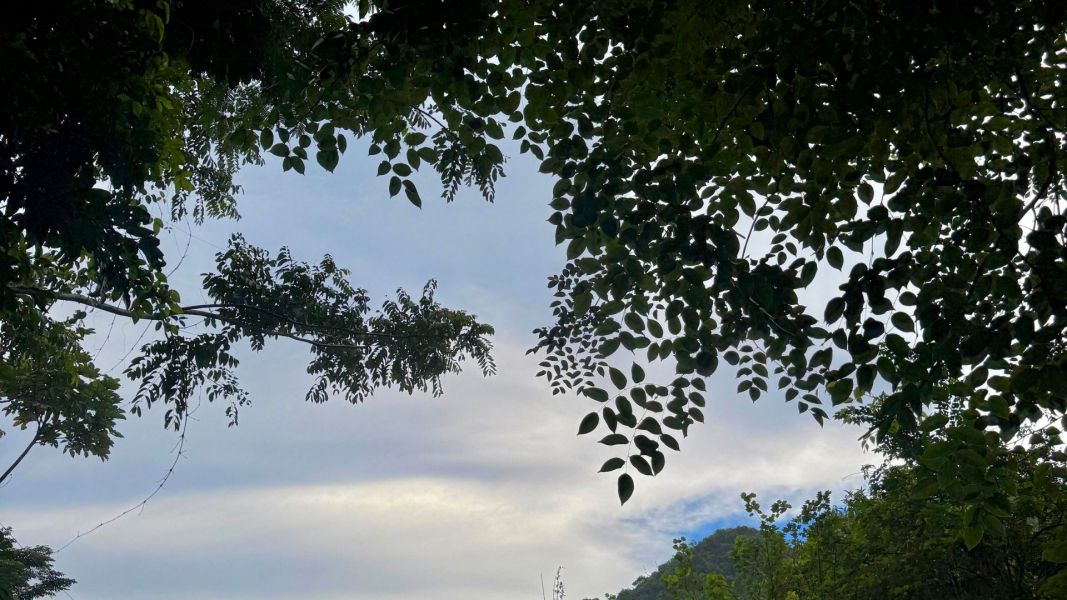 Km 14.5 Bo Jaguas Ciales 00638 PR