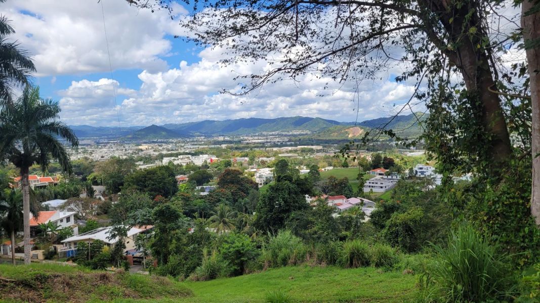 Urb Gran Vista I 93 Calle El Paseo, Gurabo - 1