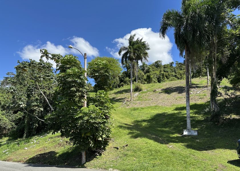 Urb Gran Vista I 93 Calle El Paseo, Gurabo - 6