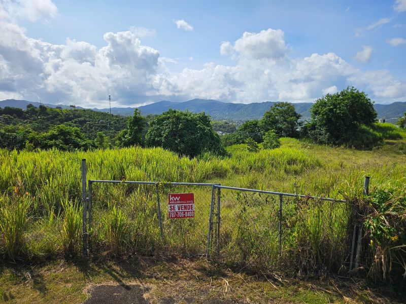 T-1 Bo Arenas Carr 734 Km. 6.3 Cidra 00739 PR