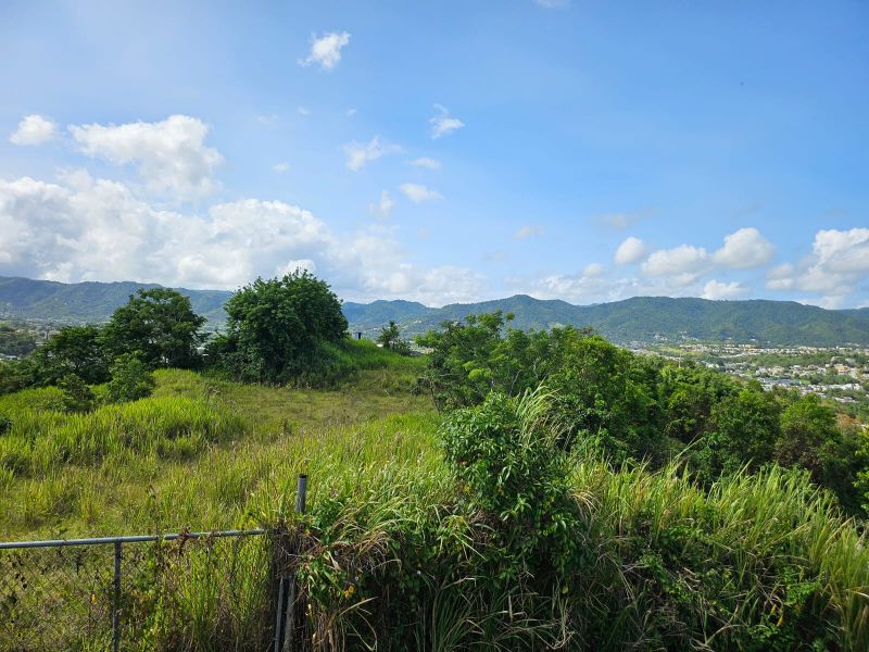 T-1 Bo Arenas Carr 734 Km. 6.3 Cidra 00739 PR