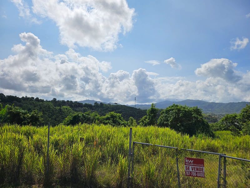 T-1 Bo Arenas Carr 734 Km. 6.3 Cidra 00739 PR