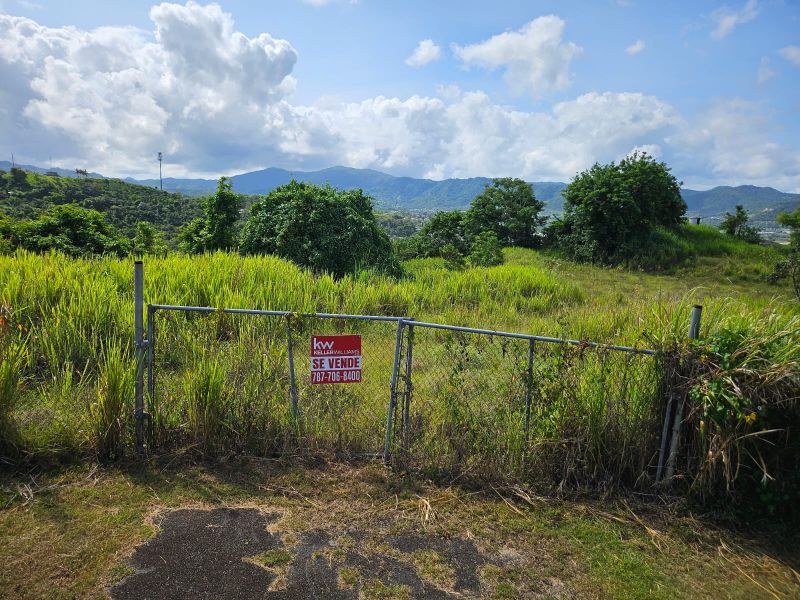 T-1 Bo Arenas Carr 734 Km. 6.3 Cidra 00739 PR