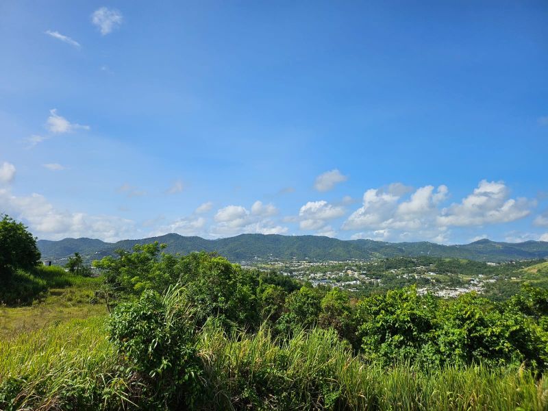 T-1 Bo Arenas Carr 734 Km. 6.3 Cidra 00739 PR