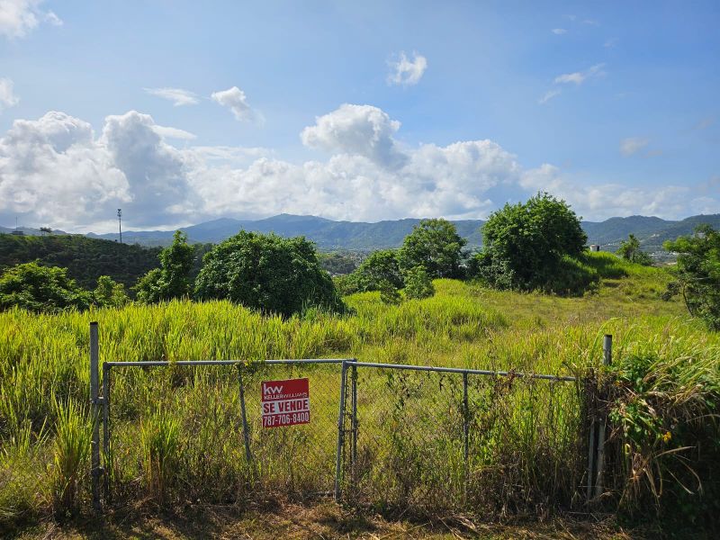 T-1 Bo Arenas Carr 734 Km. 6.3 Cidra 00739 PR