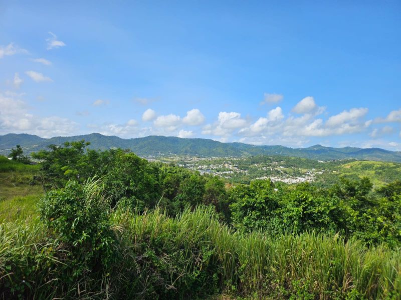 T-1 Bo Arenas Carr 734 Km. 6.3 Cidra 00739 PR