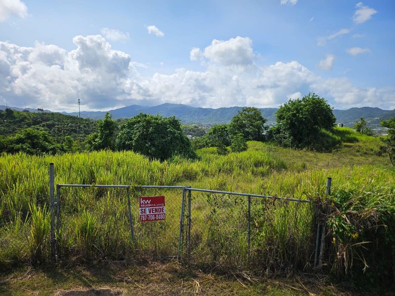 T-1 Bo Arenas Carr 734 Km. 6.3 Cidra 00739 PR