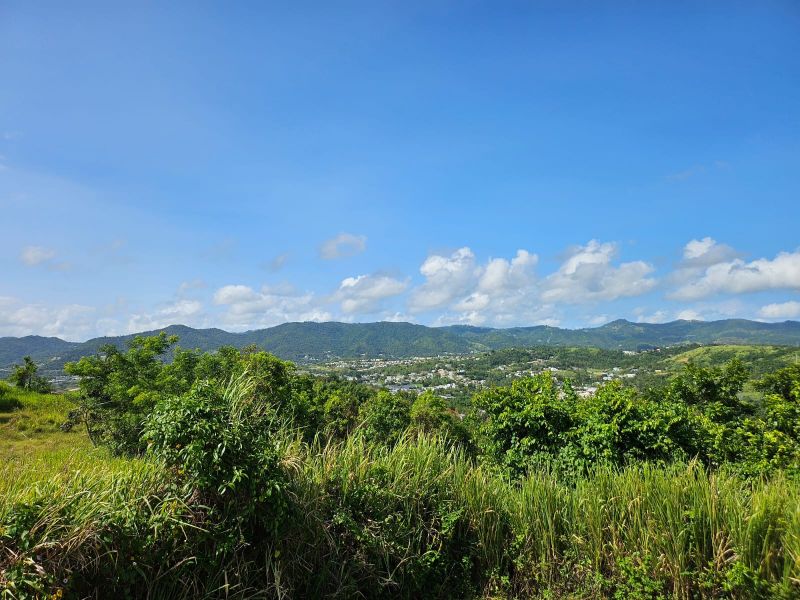 T-1 Bo Arenas Carr 734 Km. 6.3 Cidra 00739 PR