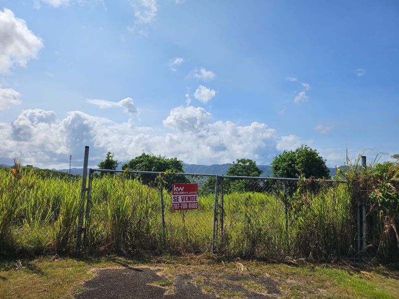 T-1 Bo Arenas Carr 734 Km. 6.3 Cidra 00739 PR