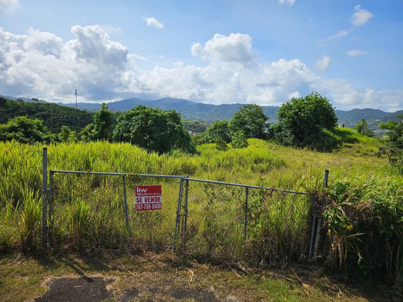 T-1 Bo Arenas Carr 734 Km. 6.3 Cidra 00739 PR