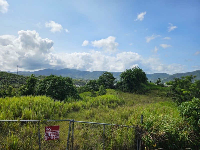 T-1 Bo Arenas Carr 734 Km. 6.3 Cidra 00739 PR