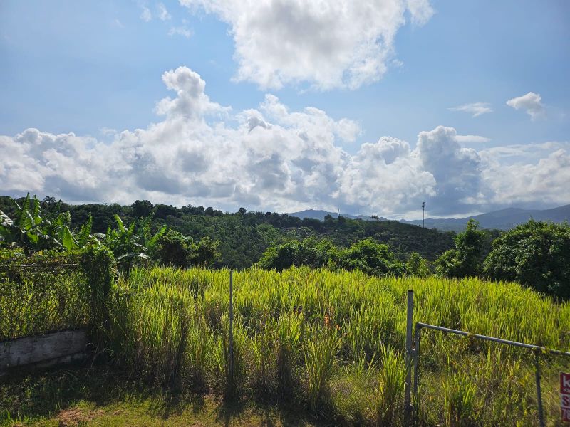 T-1 Bo Arenas Carr 734 Km. 6.3 Cidra 00739 PR