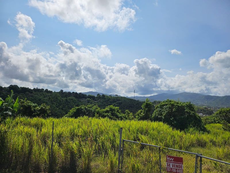 T-1 Bo Arenas Carr 734 Km. 6.3 Cidra 00739 PR