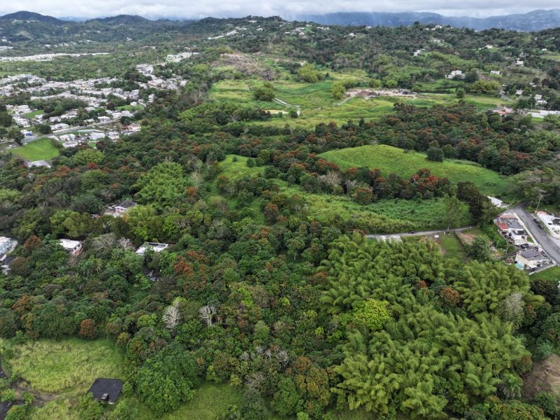 Finca Pr 928 Km 5.2 Florida Ward San Lorenzo 00754 PR