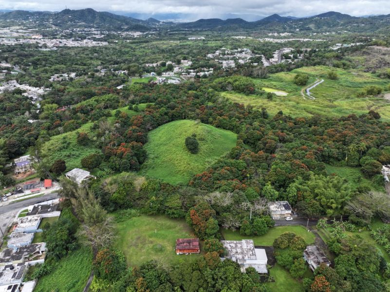 Finca Pr 928 Km 5.2 Florida Ward San Lorenzo 00754 PR