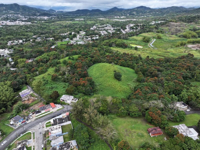 Finca Pr 928 Km 5.2 Florida Ward San Lorenzo 00754 PR