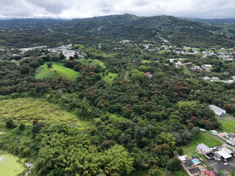 Finca Pr 928 Km 5.2 Florida Ward San Lorenzo 00754 PR