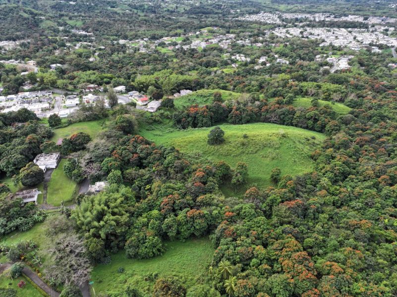 Finca Pr 928 Km 5.2 Florida Ward San Lorenzo 00754 PR