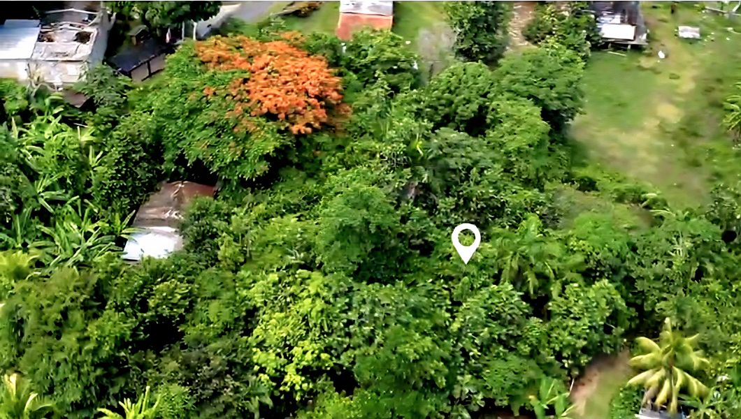 Bo Cacao Bajo Sec Los Pompos Carr 184 Km. 1.0 Patillas 00723 PR