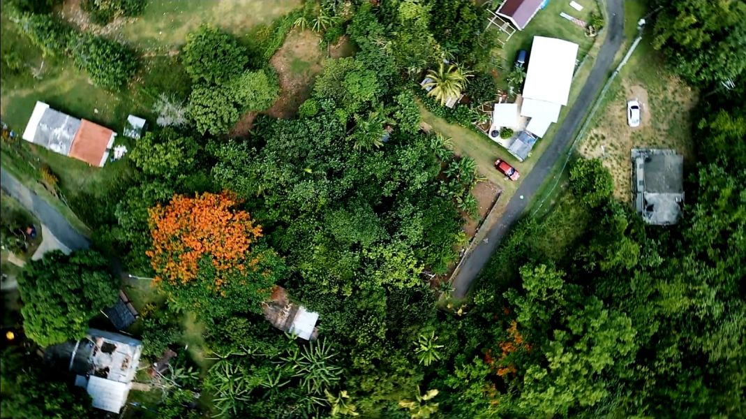 Bo Cacao Bajo Sec Los Pompos Carr 184 Km. 1.0 Patillas 00723 PR