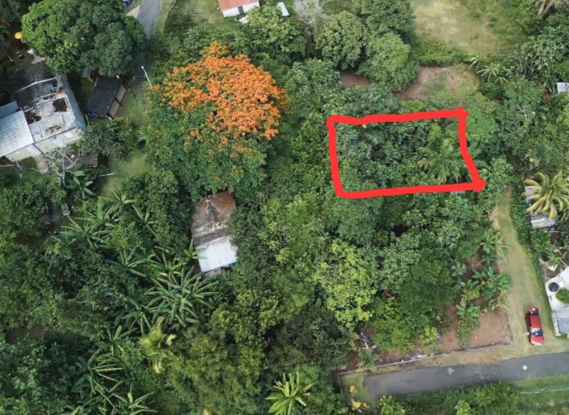 Bo Cacao Bajo Sec Los Pompos Carr 184 Km. 1.0 Patillas 00723 PR