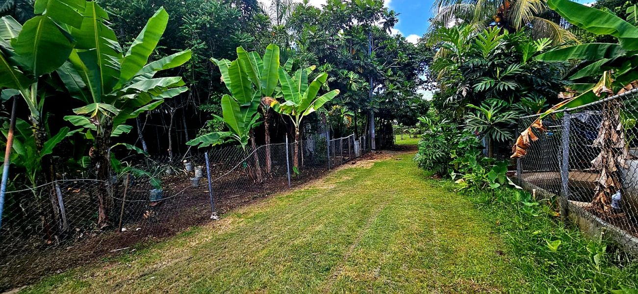 Bo Cacao Bajo Sec Los Pompos Carr 184 Km. 1.0 Patillas 00723 PR