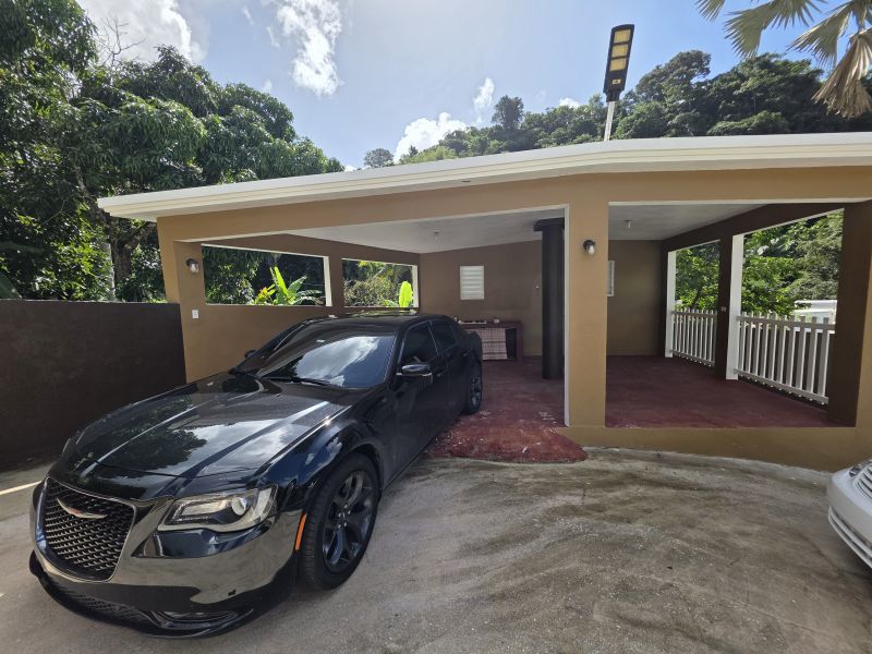 Sector Mulas Carr 754 Km 2.2 Solar 1a, Patillas - 14
