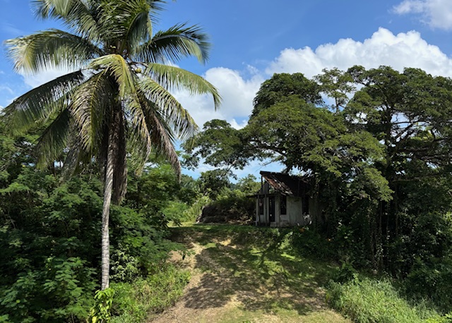 Bo Abras Carr 821 Km.hm 7.3 Corozal 00783 PR