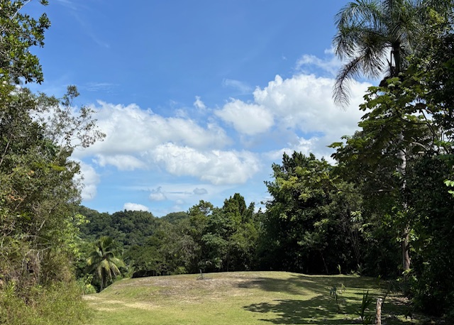 Bo Abras Carr 821 Km.hm 7.3 Corozal 00783 PR