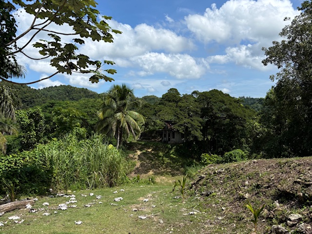 Bo Abras Carr 821 Km.hm 7.3 Corozal 00783 PR