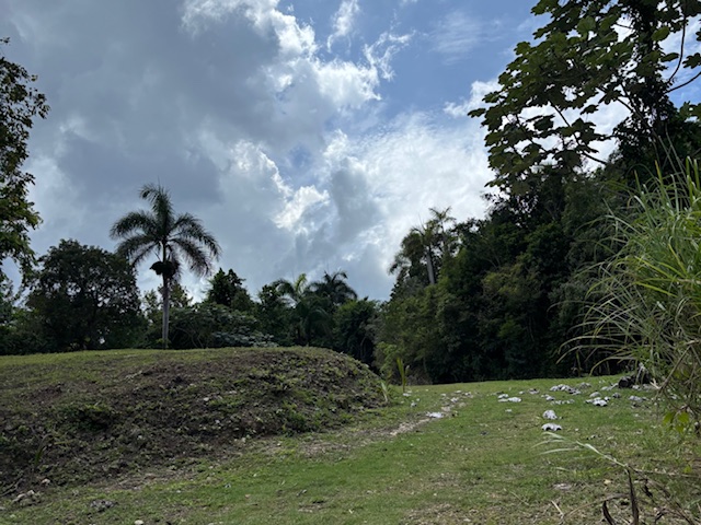 Bo Abras Carr 821 Km.hm 7.3, Corozal - 8