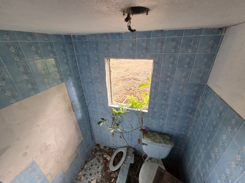 Bo Morovis Norte Carr 6634 Km 1.5 Morovis 00687 PR