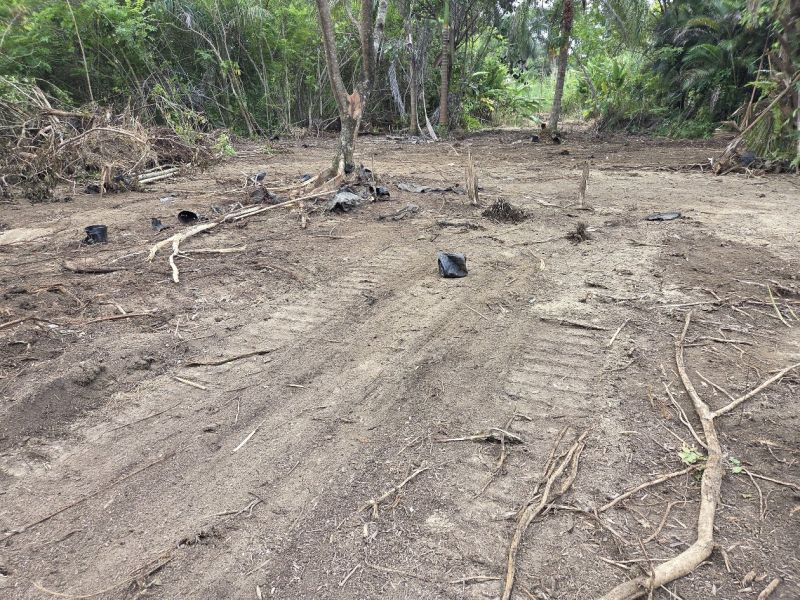 Bo Morovis Norte Carr 6634 Km 1.5 Morovis 00687 PR