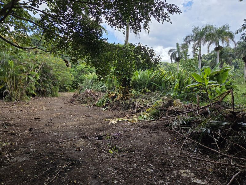 Bo Morovis Norte Carr 6634 Km 1.5 Morovis 00687 PR