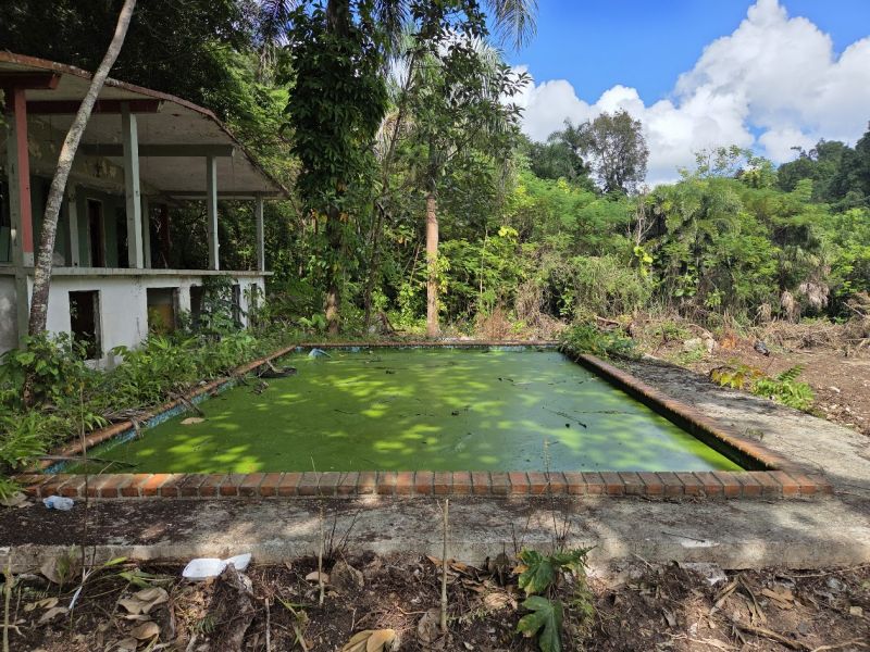 Bo Morovis Norte Carr 6634 Km 1.5 Morovis 00687 PR