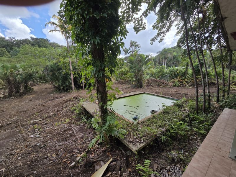 Bo Morovis Norte Carr 6634 Km 1.5 Morovis 00687 PR