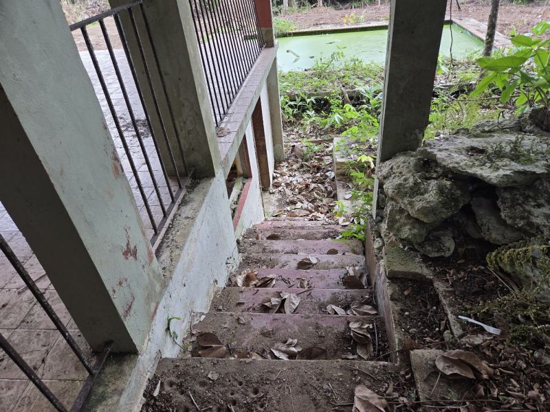 Bo Morovis Norte Carr 6634 Km 1.5 Morovis 00687 PR