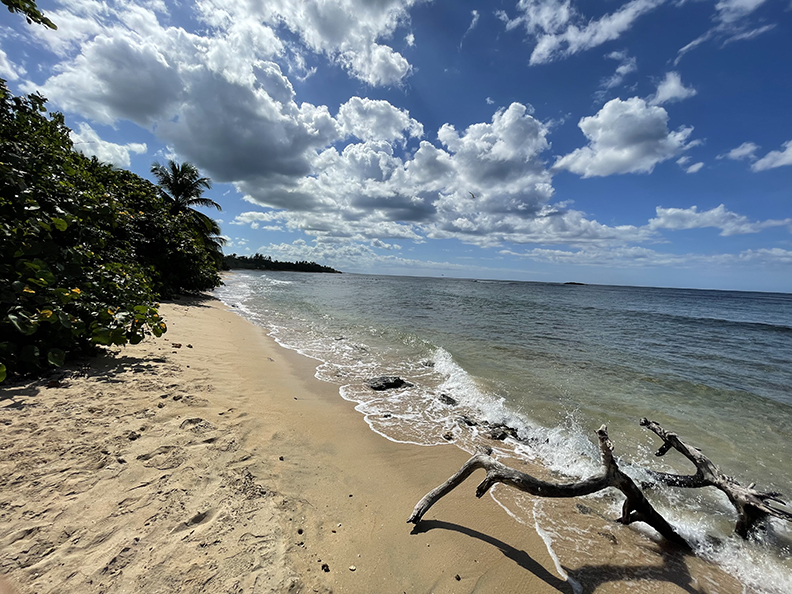 Chalets De La Playa Apt 429 Edif Marbella Vega Baja 00693 PR