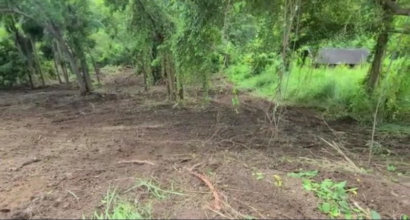 Carr 968 Km 2 Sector Las Coles Barrio Palmer Rio Grande 00745 PR