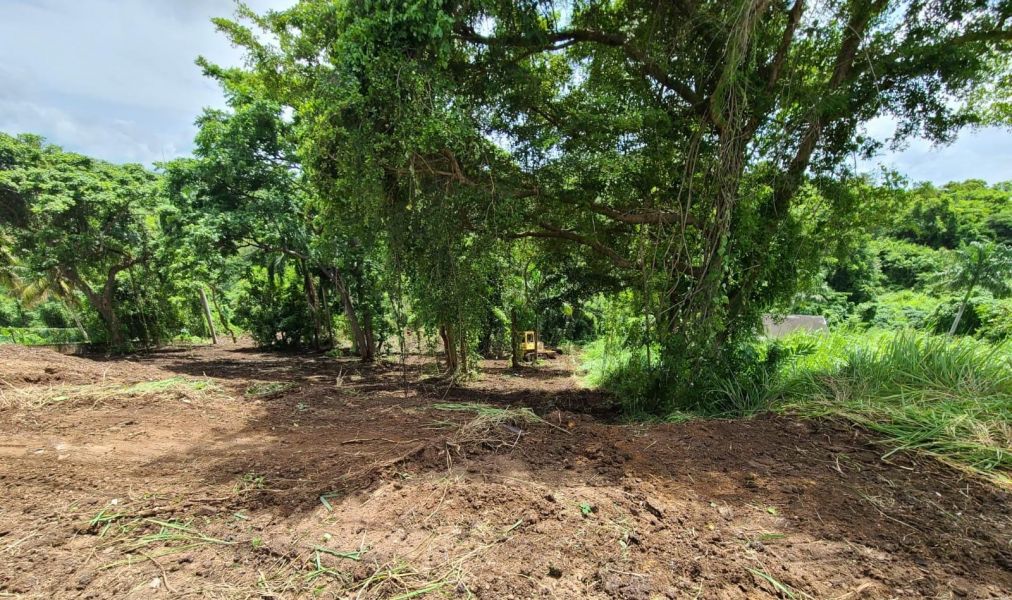 Carr 968 Km 2 Sector Las Coles Barrio Palmer Rio Grande 00745 PR