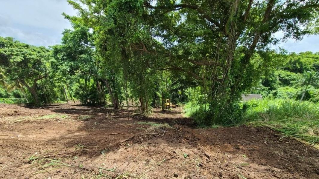 Carr 968 Km 2 Sector Las Coles Barrio Palmer Rio Grande 00745 PR