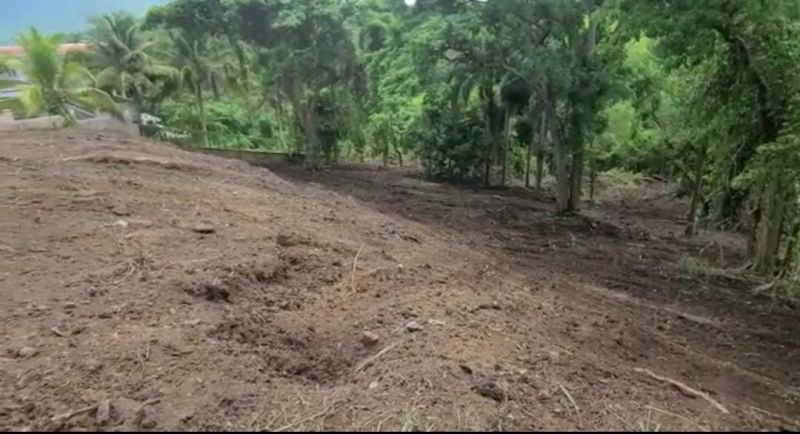 Carr 968 Km 2 Sector Las Coles Barrio Palmer Rio Grande 00745 PR