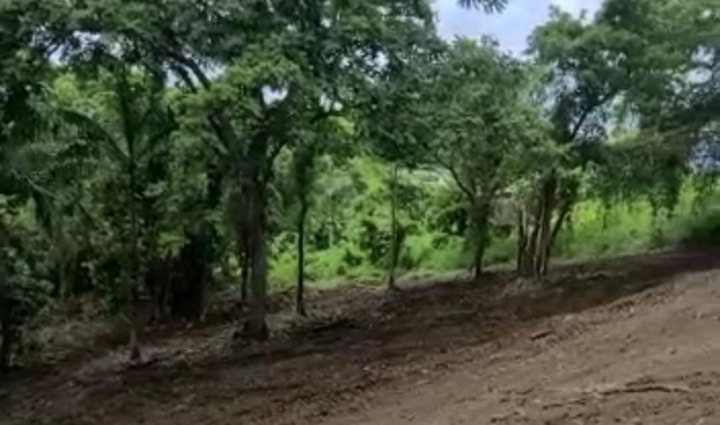 Carr 968 Km 2 Sector Las Coles Barrio Palmer Rio Grande 00745 PR