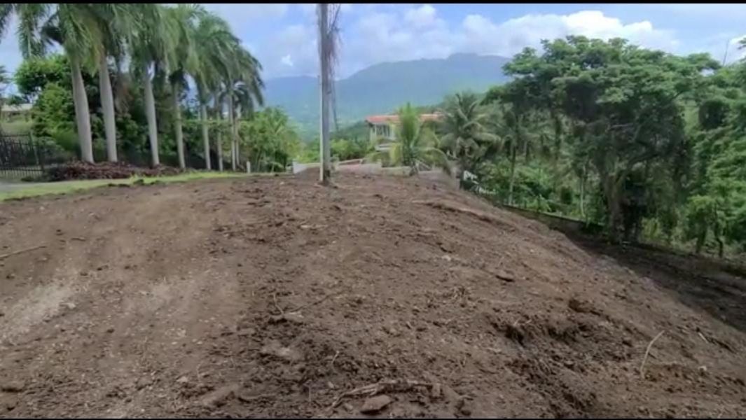 Carr 968 Km 2 Sector Las Coles Barrio Palmer Rio Grande 00745 PR